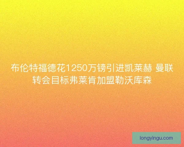 布伦特福德花1250万镑引进凯莱赫 曼联转会目标弗莱肯加盟勒沃库森