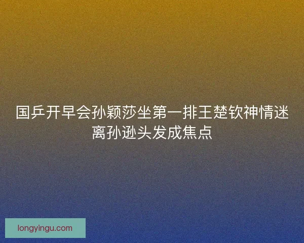 国乒开早会孙颖莎坐第一排王楚钦神情迷离孙逊头发成焦点
